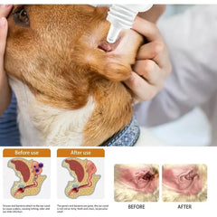 Pet Ear Care - PetSala