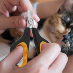 Cat Nail Scissors - PetSala